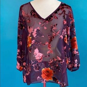 Burnout Velvet Blouse